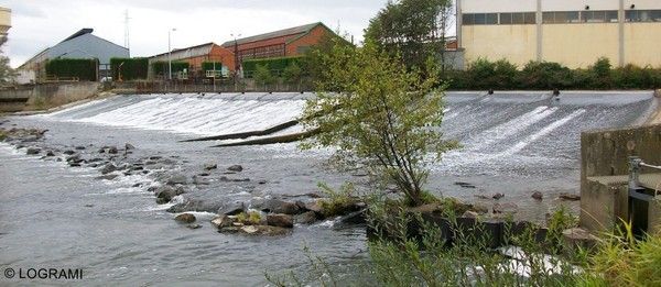 station de comptage a poissons a gueugnon